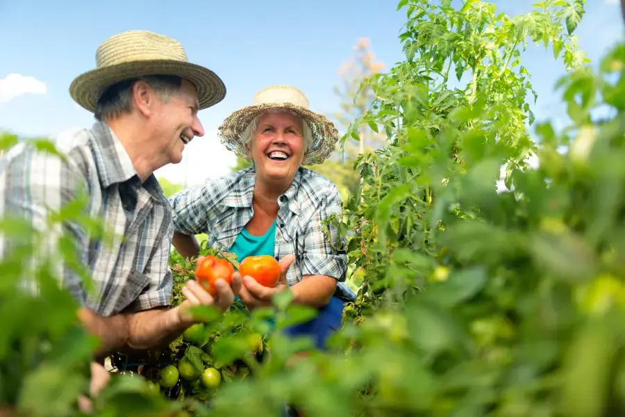 Mudanças no INSS em 2026: Tudo o que você precisa saber para garantir seu benefício este ano