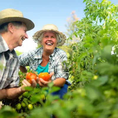 Mudanças no INSS em 2026: Tudo o que você precisa saber para garantir seu benefício este ano